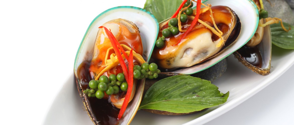 New Zealand green mussels on white background