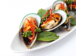 New Zealand green mussels on white background